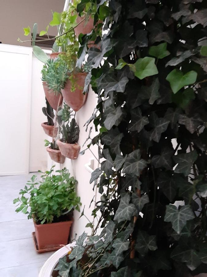 Bed and Breakfast Litium 3 Лечче Екстер'єр фото